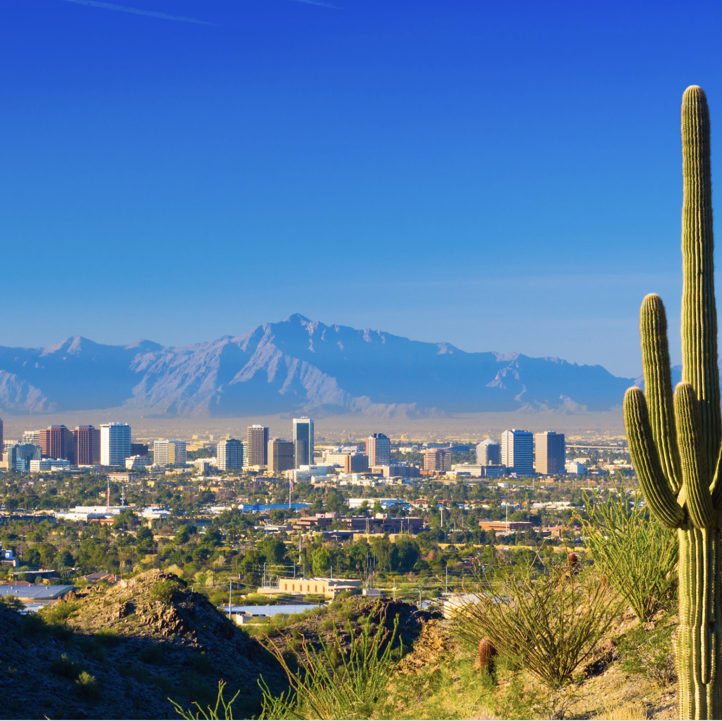 Fox Grants Phoenix